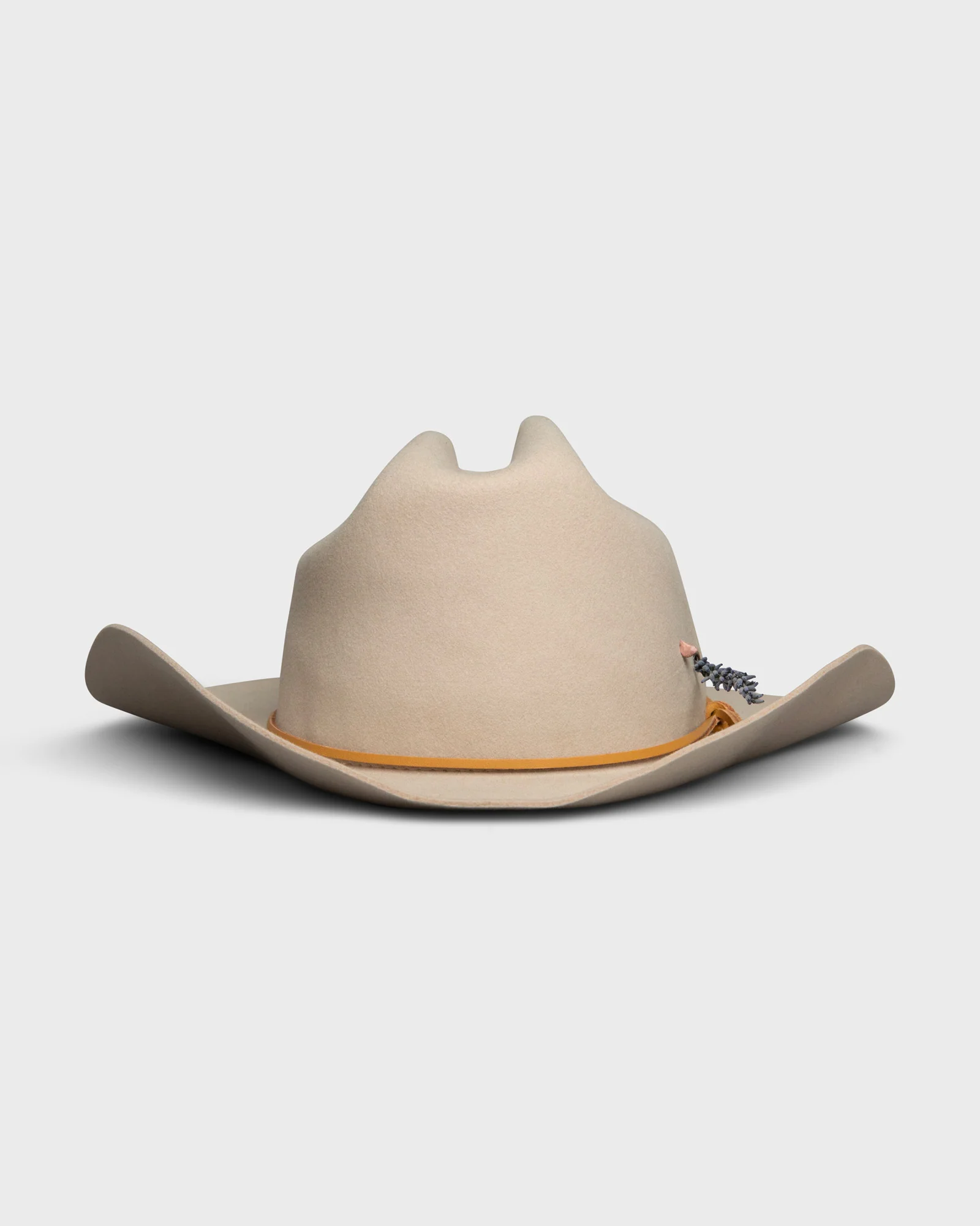 Hopper Silverbelly